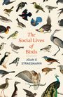 "The Social Lives of Birds" von Joan E Strassmann. Illustration mehrerer bunter Vogelarten vor hellem Hintergrund.