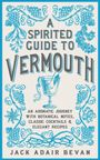 "A Spirited Guide to Vermouth" in grauer Schrift, umrahmt von blauen Weinreben und botanischen Illustrationen. Autor: Jack Adair Bevan.