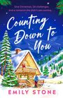 Emily Stone: Counting Down to You, Buch