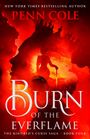 „Burn of the Everflame“, mit Silhouette einer Frau im Flammenmeer.