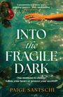 Text: "INTO THE FRAGILE DARK", "Paige Santschi", "HEADLINE", "COVER TO BE REVEALED". Auf blauem Hintergrund mit einfachem Layout.