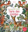 Brenda Cole: Mein Farbenzauber-Malbuch: Tiere des Waldes, Buch