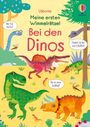 Kirsteen Robson: Meine ersten Wimmelrätsel: Bei den Dinos, Buch
