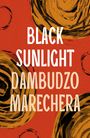 Dambudzo Marechera: Black Sunlight, Buch
