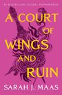„#1 BESTSELLING GLOBAL PHENOMENON", „A COURT OF WINGS AND RUIN“, „SARAH J. MAAS“. Illustration eines Dolches mit Rauch.