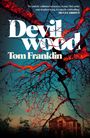 „Devil Wood“ von Tom Franklin. Ein düsterer Baum vor einem blauen Himmel, darunter ein altes Haus.