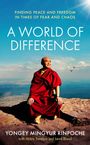 "Buchcover: 'Finding Peace and Freedom in Times of Fear and Chaos', 'A World of Difference'. Ein Mönch sitzt draußen.