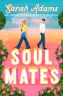 "Soul Mates" in großen weißen Buchstaben. Ein Mann und eine Frau gehen auf diesen Buchstaben, Hintergrund romantisch.