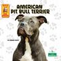 Corinne Fickett: American Pit Bull Terrier, Buch