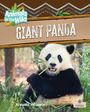 „Animals in the Wild“ und „GIANT PANDA“. Ein Panda sitzt und hält einen Bambusast. Unten steht „Annette Whipple“. 