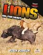 Robin Johnson: Lions on the Hunt, Buch