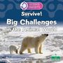 „Survive! Big Challenges in the Animal World.“ Zwei Eisbären auf einer Eisscholle, Science Concepts Logo oben, Crabtree Seedlings-Logo unten.