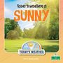 "Today's weather is sunny" in großer Schrift, Parklandschaft mit grünen Bäumen und Sonnenschein, Logo mit Wettermotiven.