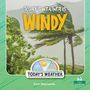 "Today's Weather is Windy." Stark geneigte Palmen unterstreichen den windigen Tag.