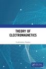 Yudhishthir Pandey: Theory of Electromagnetics, Buch