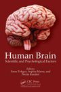 "Human Brain: Scientific and Psychological Factors", Editors: Emre Tokgoz, Sophia Marra, Percin Karakol. Illustration eines Gehirns.