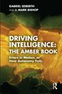 Gabriel Seiberth: Driving Intelligence: The Amber Book, Buch