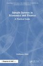 „Sample Surveys in Economics and Finance: A Practical Guide“ von Guillaume Osier. Blaues Design mit abstrakten Linien.