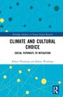 "Climate and Cultural Choice: Social Pathways to Mitigation" von Robert Winthrop. Blaues grafisches Netzwerk.