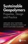 David Olatunde Olukanni: Sustainable Geopolymers, Buch