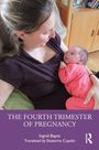 Ingrid Bayot: The Fourth Trimester of Pregnancy, Buch