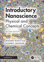 Masaru Kuno: Introductory Nanoscience, Buch