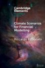 Text: "Cambridge Elements: Quantitative Finance. Climate Scenarios for Financial Modelling. Riccardo Rebonato." Galaxie-Hintergrund.