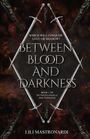 Der Text lautet: "Which will conquer: love or shadow? Between Blood and Darkness. Book 1 of Between Angels and Daemons." Darunter ein Name. Das Cover zeigt Schwerter auf dunklem Hintergrund.