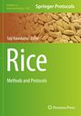 Text: "Methods in Molecular Biology 2869", "Springer Protocols", "Taiji Kawakatsu Editor", "Rice: Methods and Protocols". Hintergrund: Reiskörner.