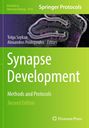 "Synapse Development: Methods and Protocols, Second Edition" Herausgeber: Tolga Soykan, Alexandros Poulopoulos. Grüne Farbgestaltung.