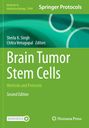 "Brain Tumor Stem Cells: Methods and Protocols, Second Edition". Grüntöne, Kreisformen, Springer- und Humana-Logos.