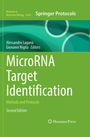 MicroRNA Target Identification, Buch