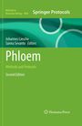 Phloem, Buch