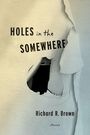 Richard Brown: Holes In The Somewhere, Buch