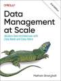 Piethein Strengholt: Data Management at Scale, Buch