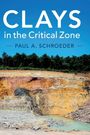 Paul A. Schroeder: Clays in the Critical Zone, Buch