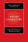 : The Cambridge History of Welsh Literature, Buch
