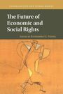 Titel: The Future of Economic and Social Rights. Herausgeber: Katharine G. Young. Beige Illustration von abstrakten Figuren.
