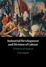P. Sai-Wing Ho: Industrial Development and Division of Labour, Buch