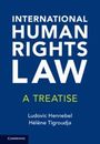 Helene Tigroudja: International Human Rights Law, Buch