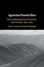 Cesar J. Ayala: Agrarian Puerto Rico, Buch