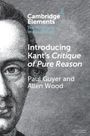 Paul Guyer: Introducing Kant's Critique of Pure Reason, Buch