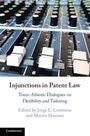 : Injunctions in Patent Law, Buch