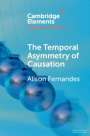 Alison Fernandes: The Temporal Asymmetry of Causation, Buch