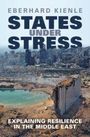 Eberhard Kienle: States Under Stress, Buch