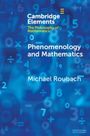 Michael Roubach: Phenomenology and Mathematics, Buch