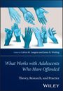 : What Works with Adolescents Who Have Offended, Buch