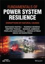 Hatziargyriou: Fundamentals of Power System Resilience: Disruptio ns by Natural Causes, Buch