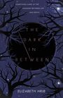 Elizabeth Hrib: The Dark In-Between, Buch