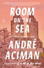 André Aciman: Room on the Sea, Buch